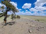 5250 Uxta Trail - Photo 12