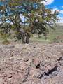 5250 Uxta Trail - Photo 15