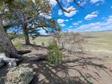5250 Uxta Trail - Photo 19