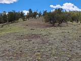 5250 Uxta Trail - Photo 3