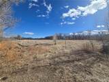 1864 River Island Drive - Photo 6