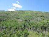 Lot 32 Raspberry Mountain Ranch - Photo 11
