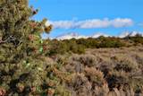 80 acres Powerline Road - Photo 12