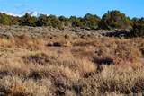 80 acres Powerline Road - Photo 21