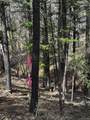 16525 Mt. Princeton Road - Photo 44