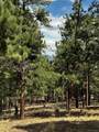 16525 Mt. Princeton Road - Photo 45