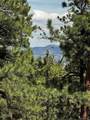 16525 Mt. Princeton Road - Photo 46