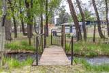 15171 County Road 306 - Photo 46