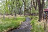 15171 County Road 306 - Photo 47