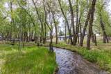 15171 County Road 306 - Photo 48