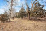 17198 Willow Tree Drive - Photo 13