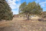 17198 Willow Tree Drive - Photo 15