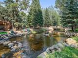 34393 Upper Bear Creek Road - Photo 42