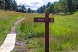 24174 Sumac Drive - Photo 46