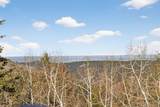 12291 Critchell Lane - Photo 42