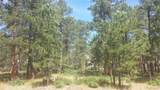 4467 Delaware Drive - Photo 11