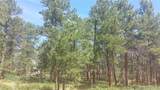 4467 Delaware Drive - Photo 12