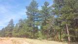 4467 Delaware Drive - Photo 14