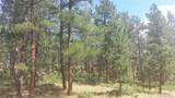 4467 Delaware Drive - Photo 15