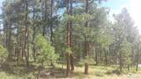 4467 Delaware Drive - Photo 16