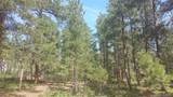 4467 Delaware Drive - Photo 17