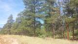 4467 Delaware Drive - Photo 18