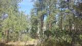 4467 Delaware Drive - Photo 23