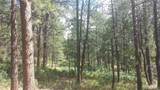 4467 Delaware Drive - Photo 24