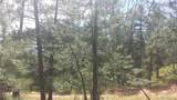 4467 Delaware Drive - Photo 25
