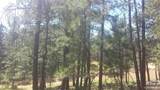 4467 Delaware Drive - Photo 36