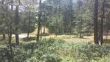 4467 Delaware Drive - Photo 38