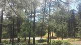 4467 Delaware Drive - Photo 39