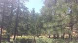 4467 Delaware Drive - Photo 41