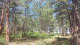 4467 Delaware Drive - Photo 44