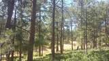 4467 Delaware Drive - Photo 45