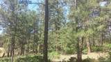 4467 Delaware Drive - Photo 46