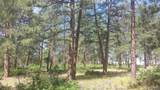 4467 Delaware Drive - Photo 47