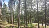 4467 Delaware Drive - Photo 48