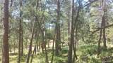 4467 Delaware Drive - Photo 49
