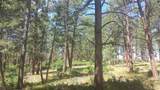 4467 Delaware Drive - Photo 6