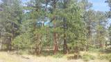 4467 Delaware Drive - Photo 10