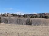 67 Colt Lane - Photo 9