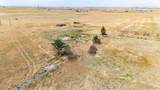 4055 County Road 193 - Photo 6