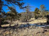 0 Ellingwood Drive - Photo 10