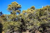 Lot 75 Valley View Trail - Photo 13