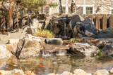 26746 Peakview Drive - Photo 43