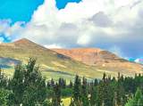 295 Silver Plume Road - Photo 1