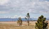 12965 Grasslands Street - Photo 42