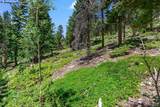3470 Beaver Brook Canyon Road - Photo 16
