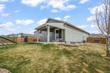 7296 Alpine Daisy Drive - Photo 46